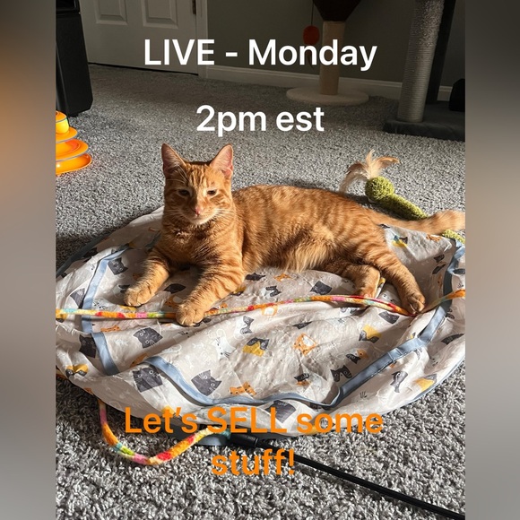 LIVE/SILENT SHOW listing - Picture 1 of 16